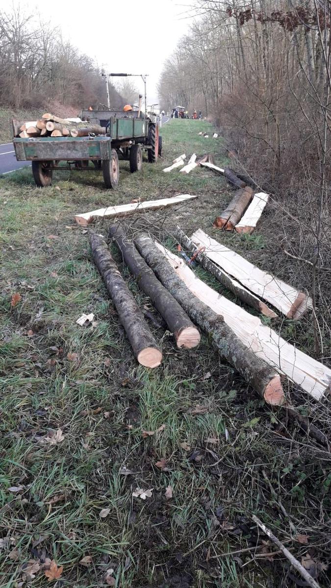 Verschiedene Hölzer am Feldrand